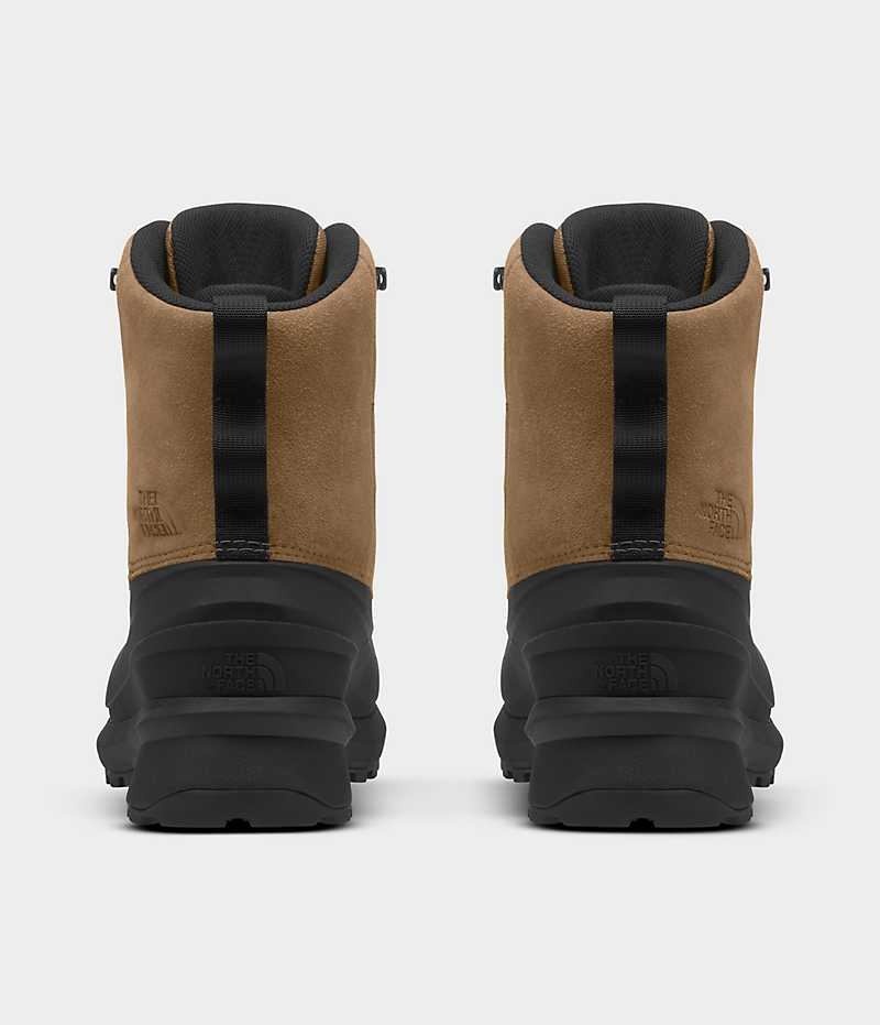 Botas de Invierno The North Face Chilkat V Encaje Impermeables Hombre Marrones Negras | CL-XZYOQ