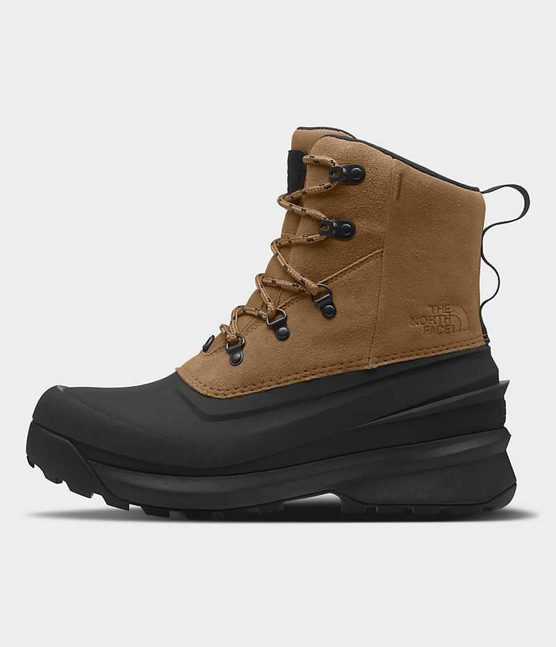 Botas de Invierno The North Face Chilkat V Encaje Impermeables Hombre Marrones Negras | CL-XZYOQ