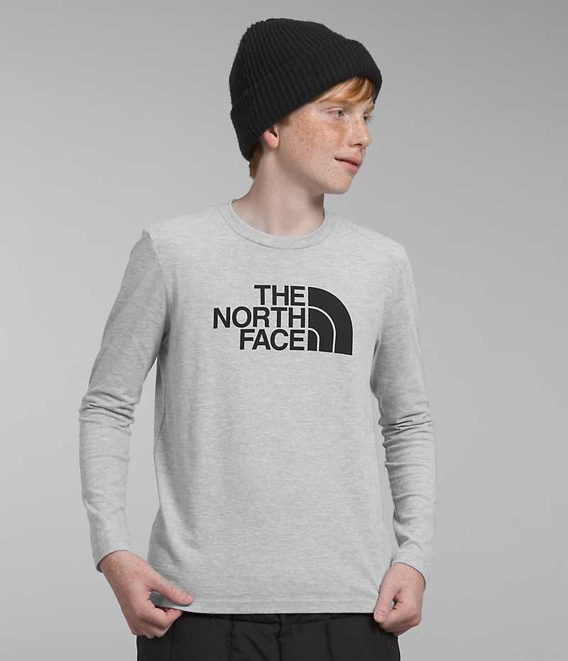 Camiseta The North Face Long Sleeve Estampadas Niño Gris Claro | CHILE-KHSXT