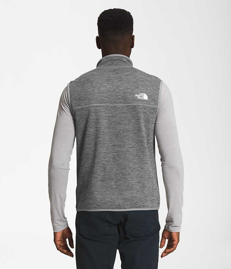 Chaleco The North Face Canyonlands Hombre Gris | CL-YGKVC