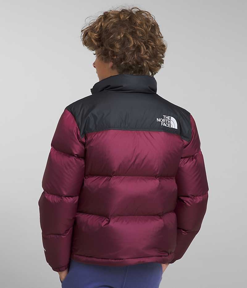 Chaqueta Plumas The North Face 1996 Retro Nuptse Niño Burdeos | CL-SYGJX