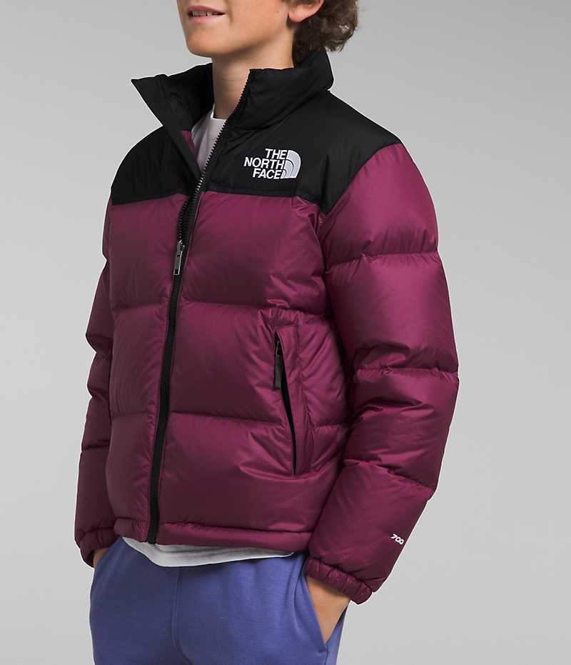 Chaqueta Plumas The North Face 1996 Retro Nuptse Niño Burdeos | CL-SYGJX