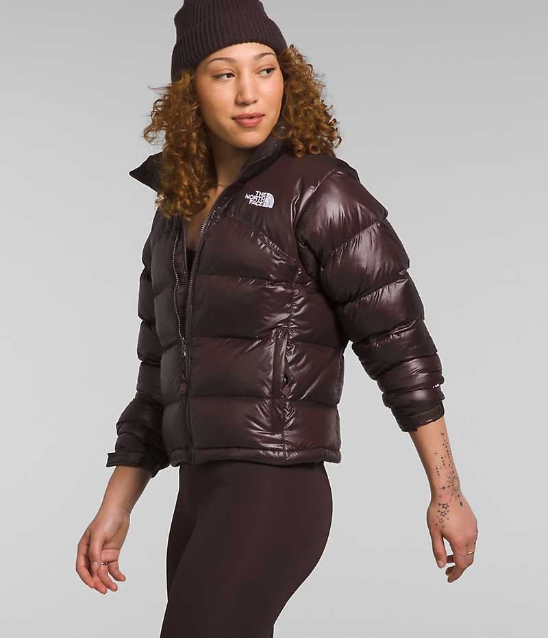 Chaqueta Plumas The North Face 2000 Retro Nuptse Mujer Marrones | CHILE-MVHNA