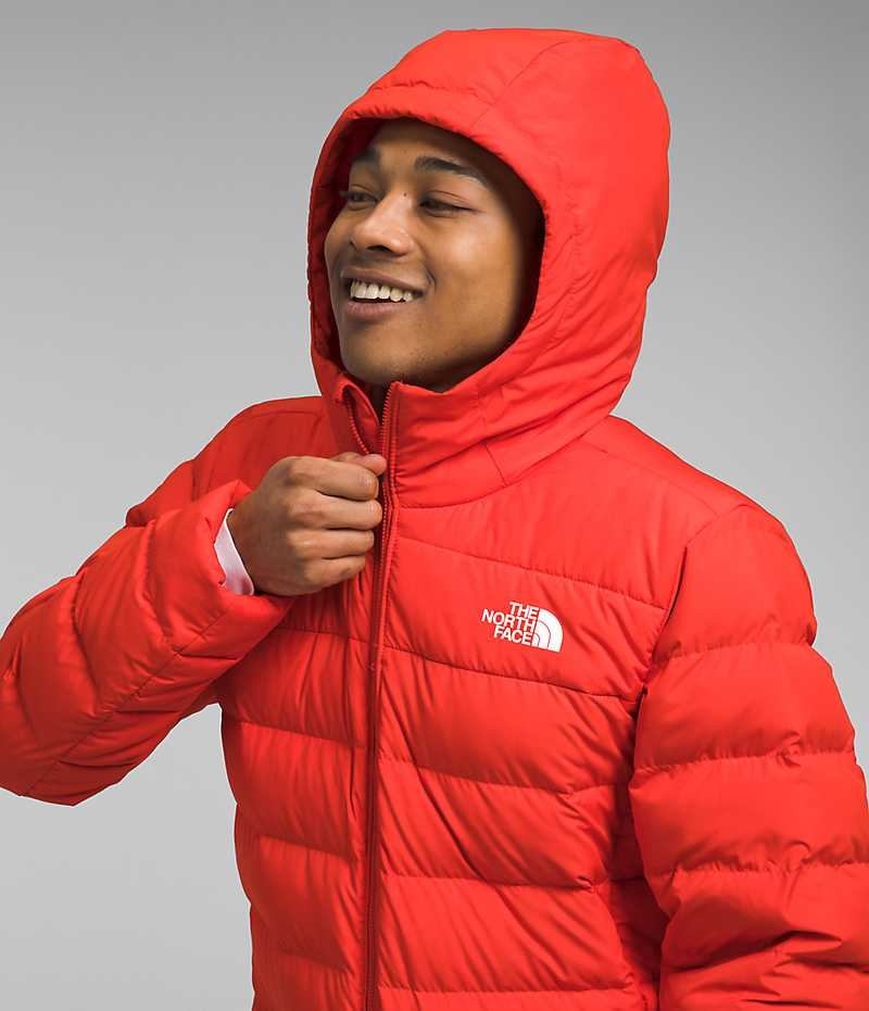 Chaqueta Plumas The North Face Aconcagua 3 Hoodie Hombre Rojas | CHILE-SUYAC