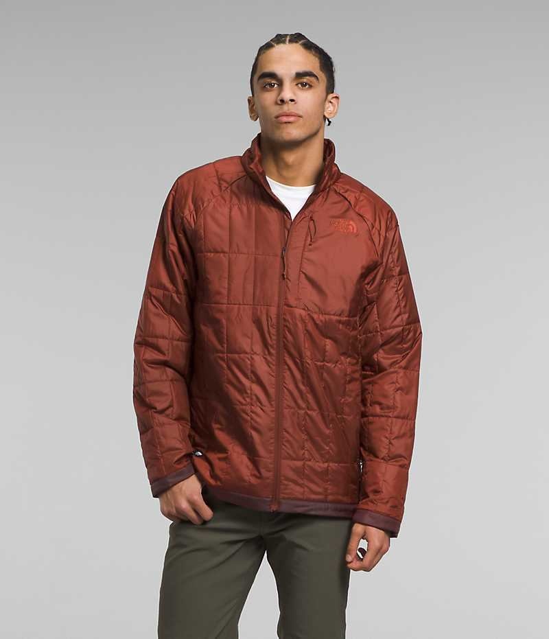 Chaqueta Plumas The North Face Circaloft Hombre Marrones | CHILE-QOJER