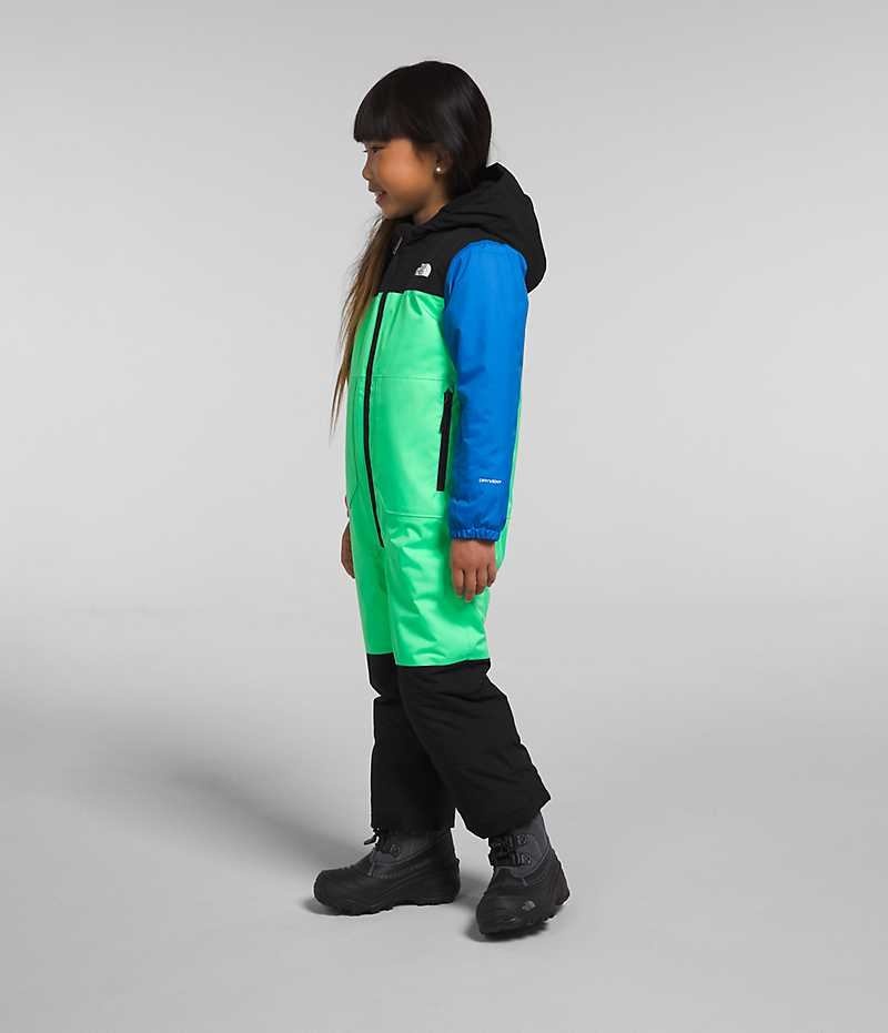 Chaqueta Plumas The North Face Freedom Snow Suit Niña Multicolor | CHILE-WDAHC