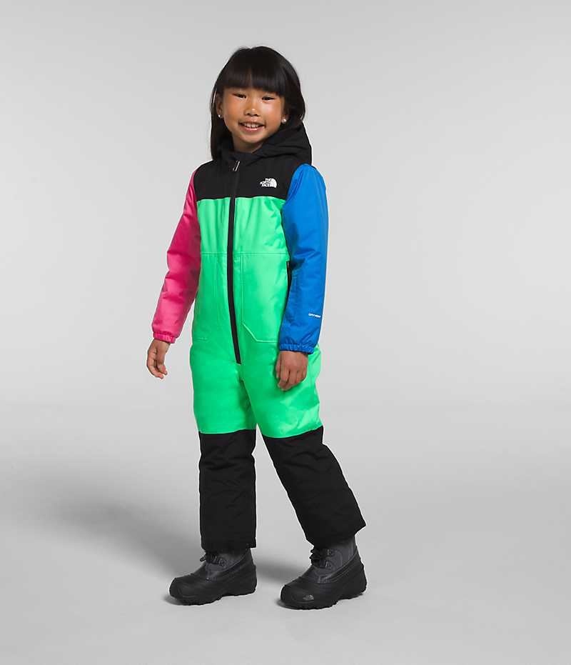 Chaqueta Plumas The North Face Freedom Snow Suit Niña Multicolor | CHILE-WDAHC