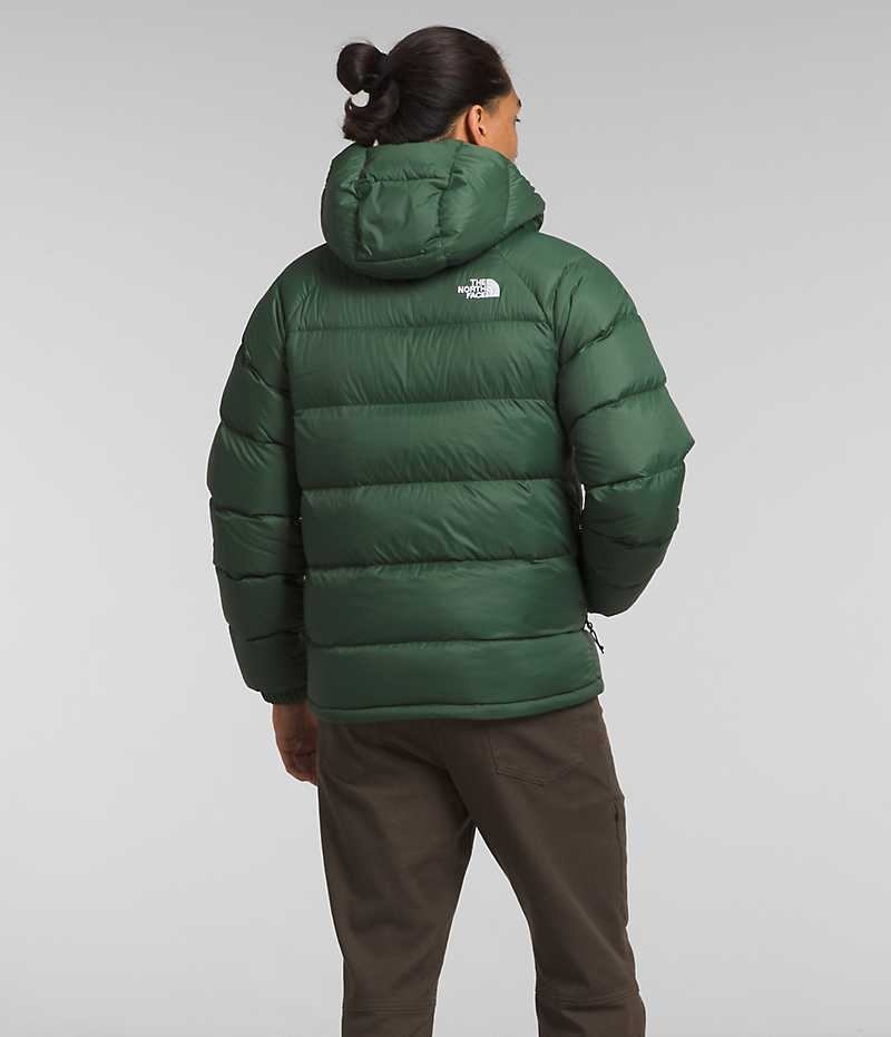 Chaqueta Plumas The North Face Hydrenalite™ Hoodie Hombre Verde | CHILE-BORYD