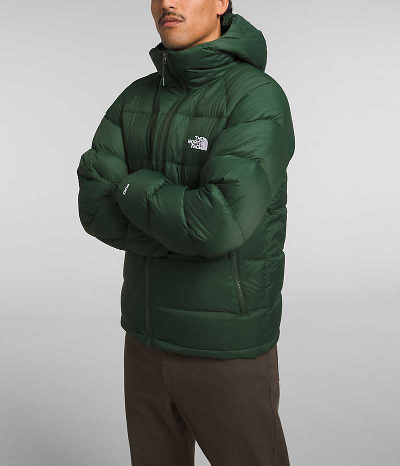 Chaqueta Plumas The North Face Hydrenalite™ Hoodie Hombre Verde | CHILE-BORYD