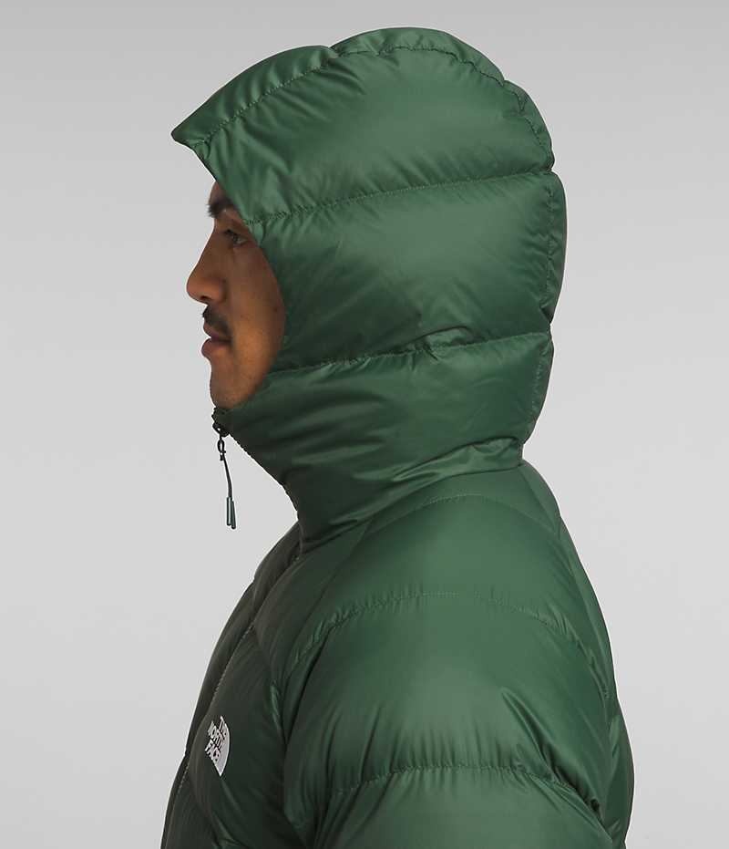 Chaqueta Plumas The North Face Hydrenalite™ Hoodie Hombre Verde | CHILE-BORYD