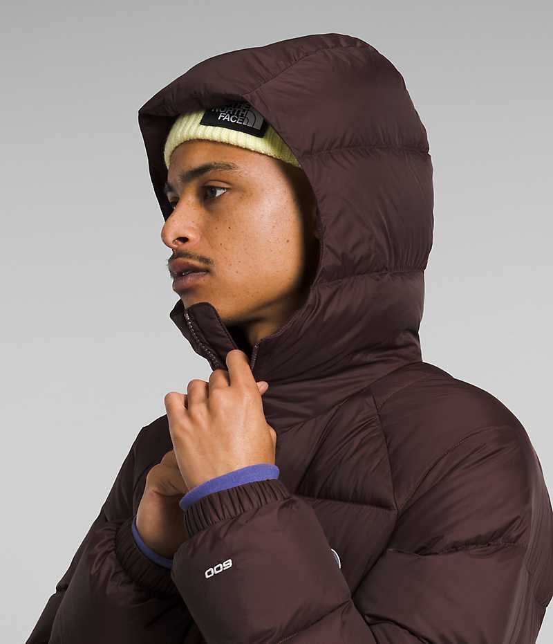 Chaqueta Plumas The North Face Hydrenalite™ Hoodie Hombre Burdeos | CHILE-MOZHE