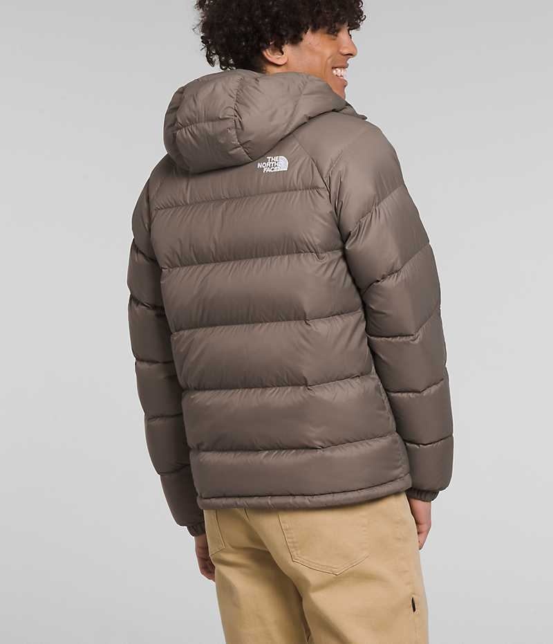 Chaqueta Plumas The North Face Hydrenalite™ Hoodie Hombre Marrones | CL-JPHEO