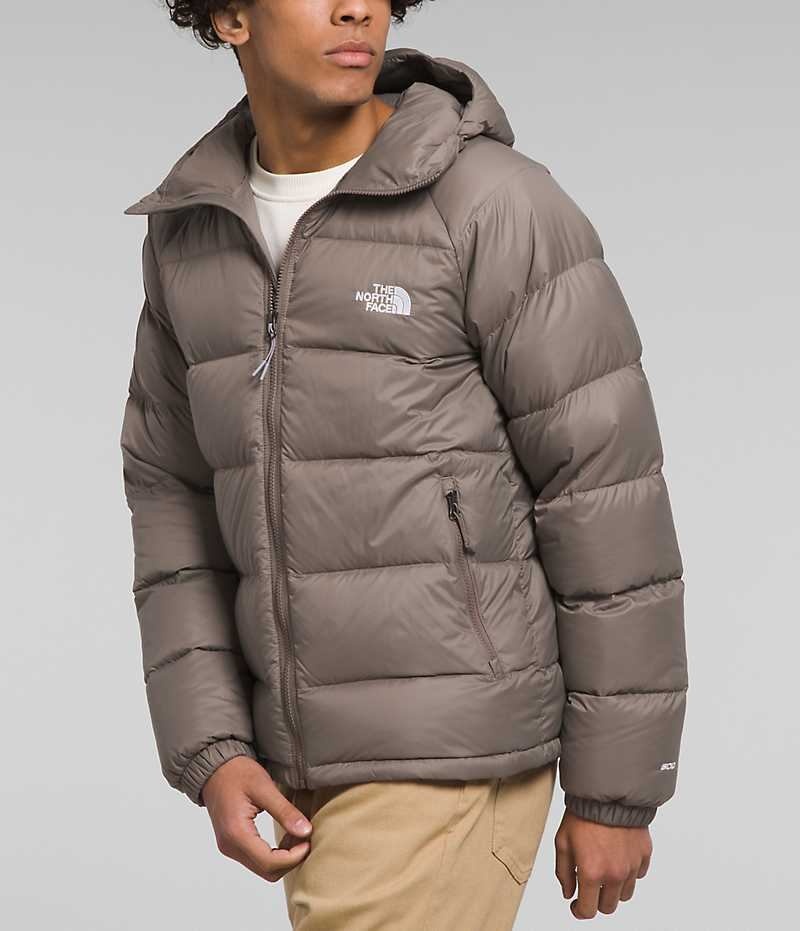 Chaqueta Plumas The North Face Hydrenalite™ Hoodie Hombre Marrones | CL-JPHEO