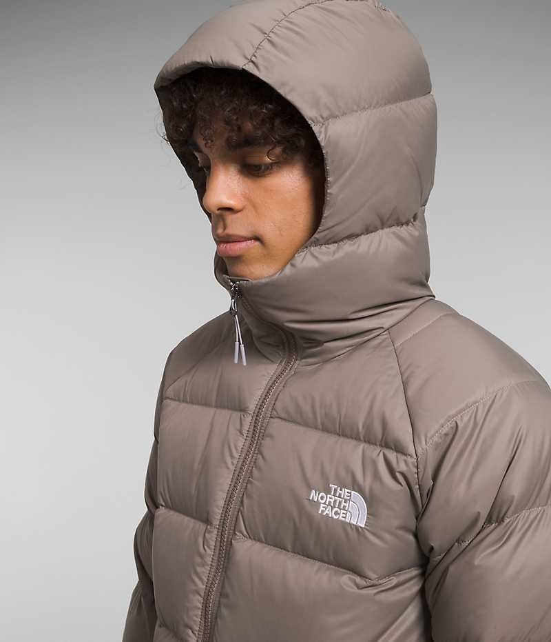 Chaqueta Plumas The North Face Hydrenalite™ Hoodie Hombre Marrones | CL-JPHEO