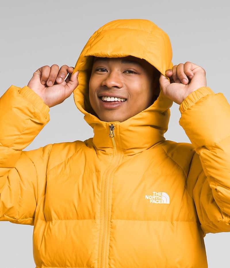 Chaqueta Plumas The North Face Hydrenalite™ Hoodie Hombre Doradas | CL-ICAYL