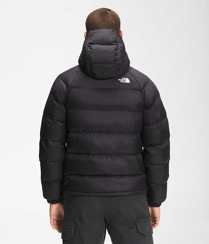 Chaqueta Plumas The North Face Hydrenalite™ Hoodie Hombre Negras | CL-OTPID