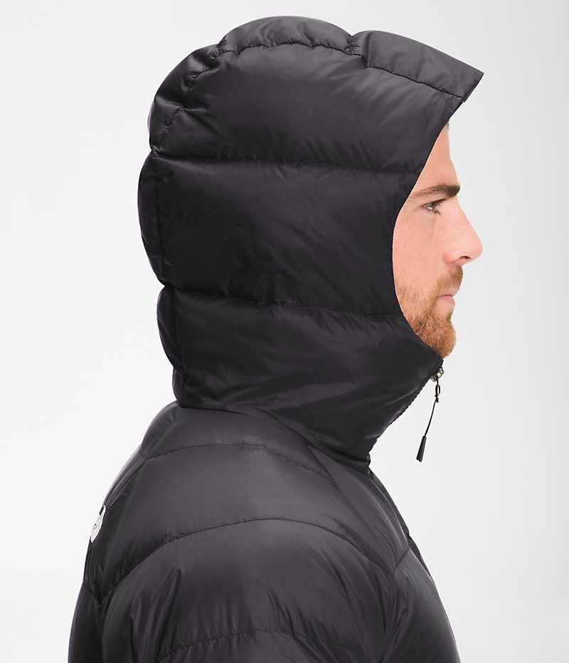 Chaqueta Plumas The North Face Hydrenalite™ Hoodie Hombre Negras | CL-OTPID