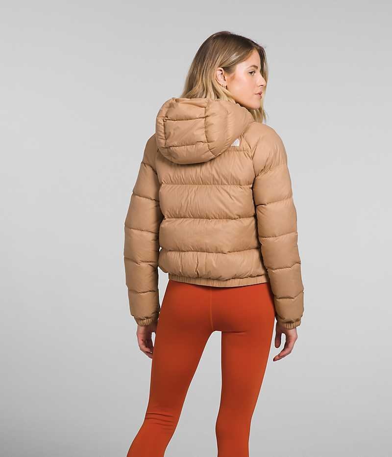 Chaqueta Plumas The North Face Hydrenalite™ Mujer Marrones | CL-KCFZW