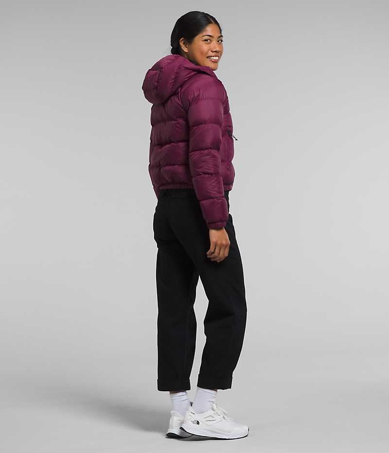 Chaqueta Plumas The North Face Hydrenalite™ Mujer Fucsia | CHILE-BACJT