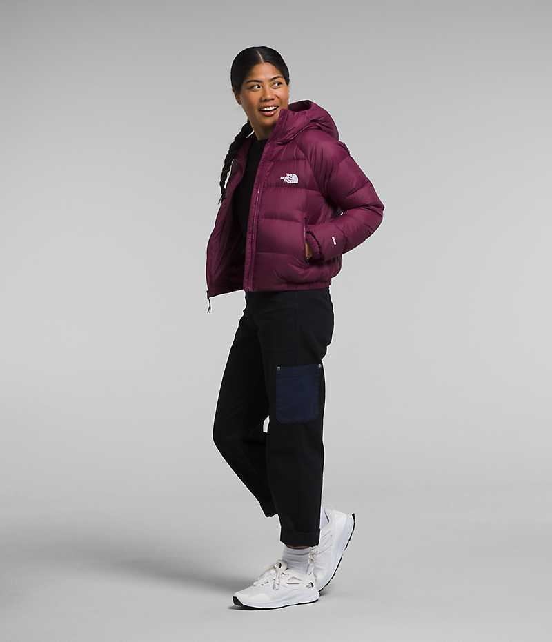 Chaqueta Plumas The North Face Hydrenalite™ Mujer Fucsia | CHILE-BACJT