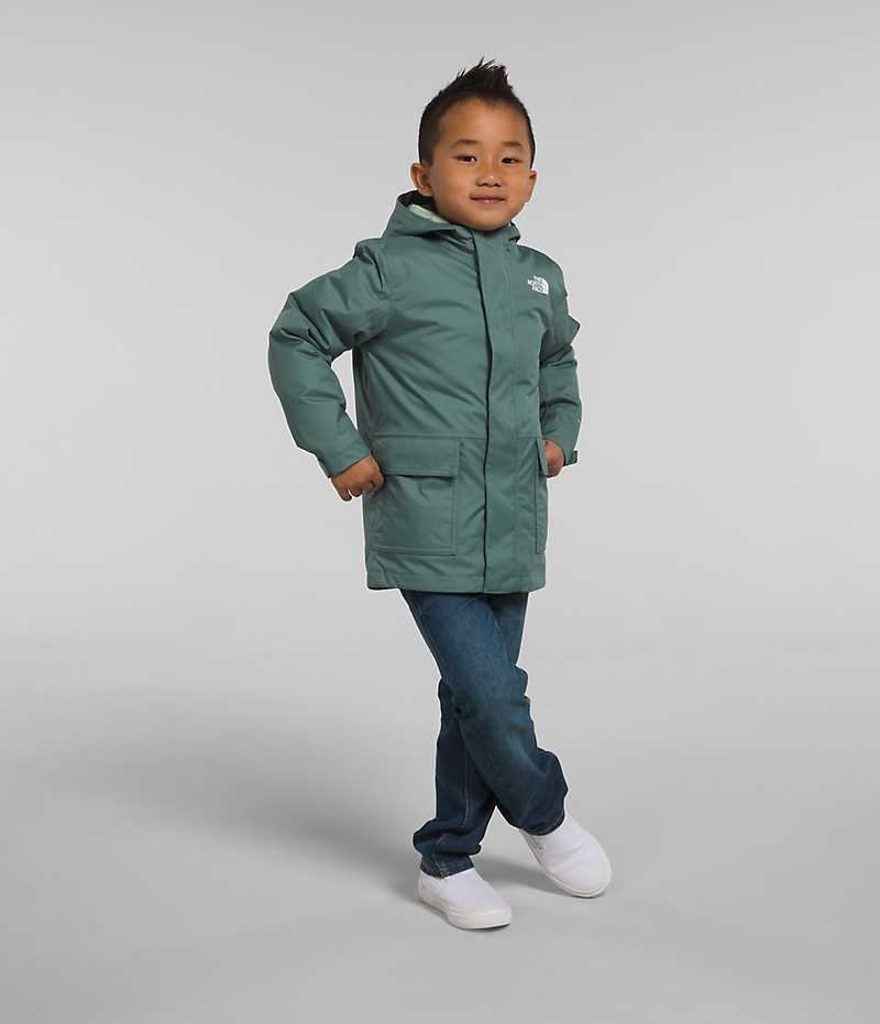 Chaqueta Plumas The North Face North Triclimate® Niño Verde | CL-AUKJE