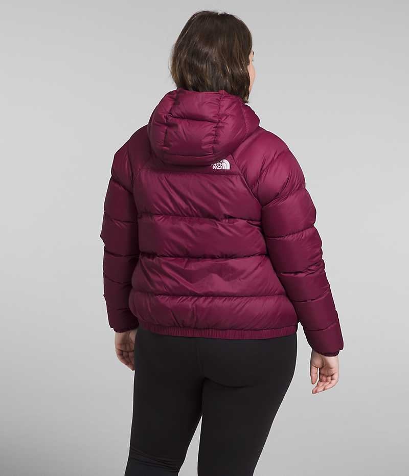 Chaqueta Plumas The North Face Plus Hydrenalite™ Hoodie Mujer Rojas | CL-YWLCK