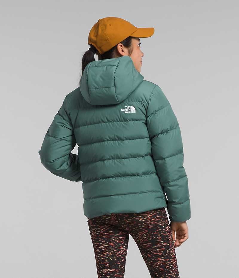 Chaqueta Plumas The North Face Reversible North Encapuchado Niña Verde | CL-SGBTR