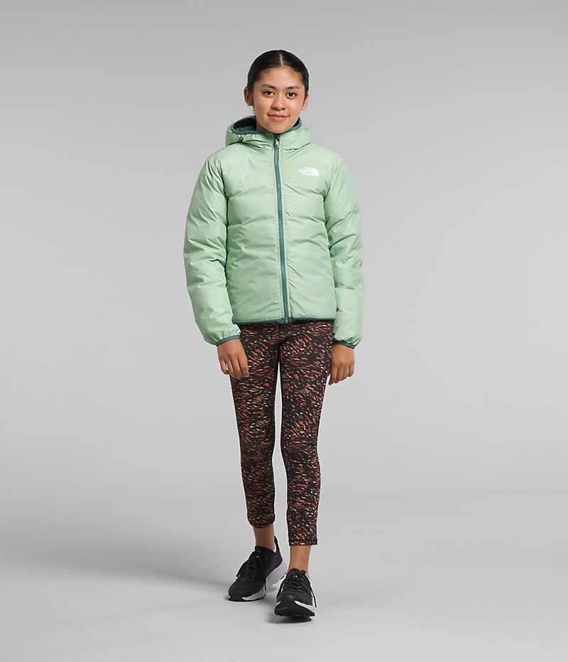 Chaqueta Plumas The North Face Reversible North Encapuchado Niña Verde | CL-SGBTR