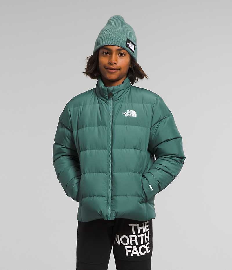 Chaqueta Plumas The North Face Reversible North Niño Verde | CHILE-LGNXW