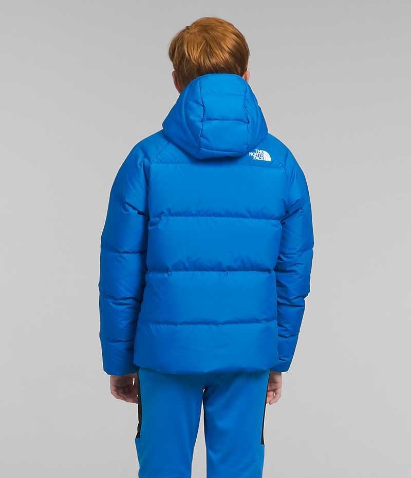 Chaqueta Plumas The North Face Reversible North Encapuchado Niño Azules | CHILE-VLXWR