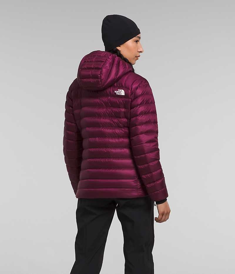 Chaqueta Plumas The North Face Summit Series Breithorn Hoodie Mujer Burdeos | CL-DFGUB