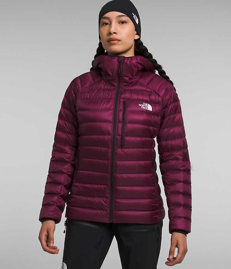 Chaqueta Plumas The North Face Summit Series Breithorn Hoodie Mujer Burdeos | CL-DFGUB