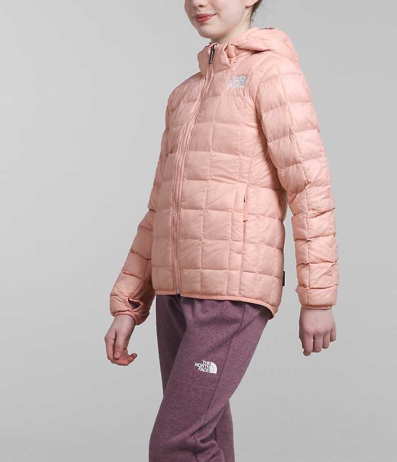 Chaqueta Plumas The North Face ThermoBall™ Encapuchado Niña Rosas | CL-XKOCW