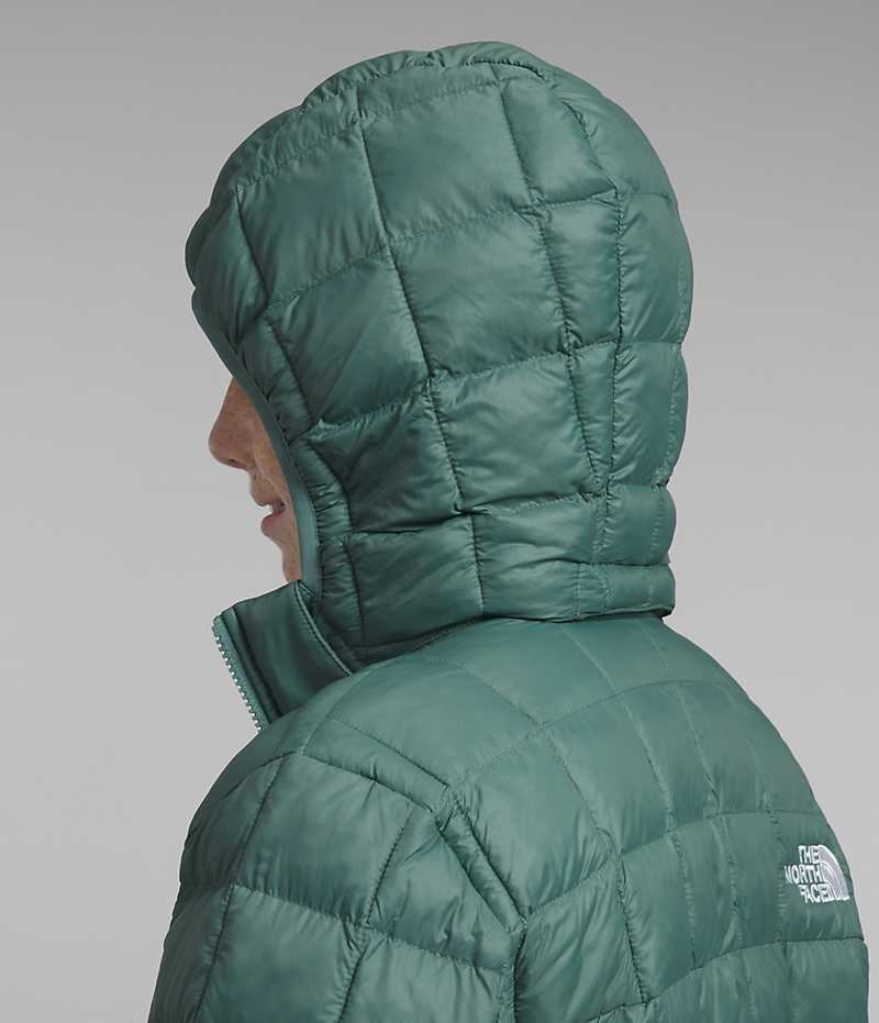 Chaqueta Plumas The North Face ThermoBall™ Encapuchado Niño Verde | CHILE-AMHWR