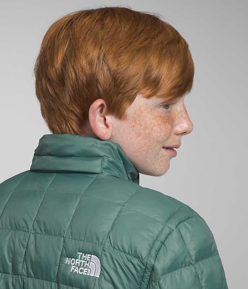 Chaqueta Plumas The North Face ThermoBall™ Encapuchado Niño Verde | CHILE-AMHWR