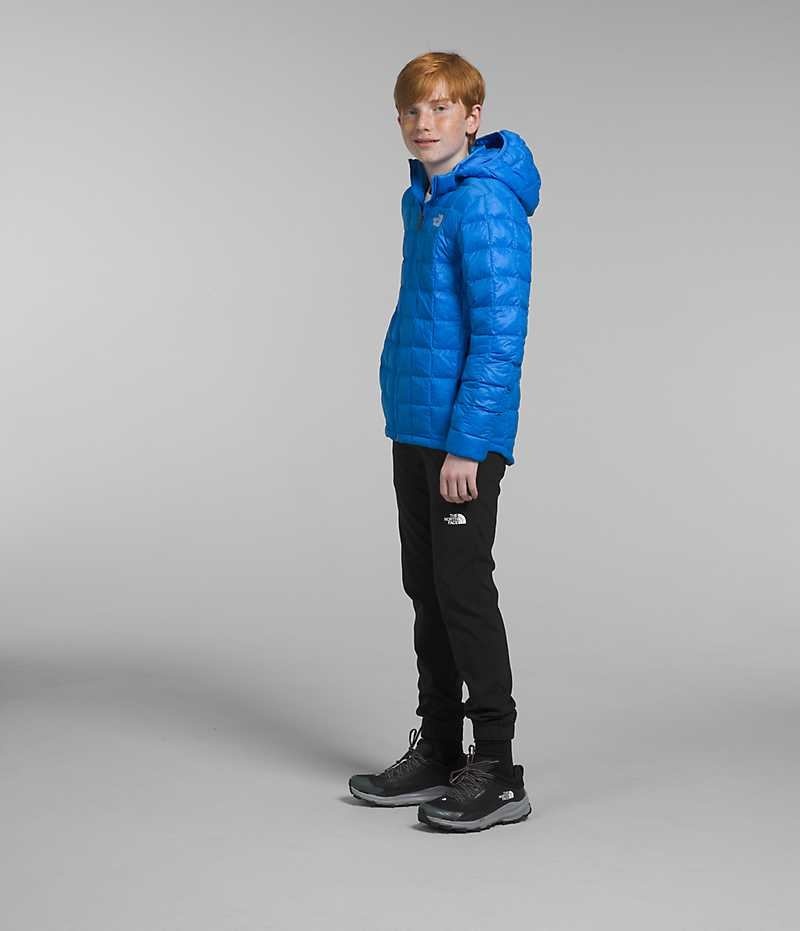 Chaqueta Plumas The North Face ThermoBall™ Encapuchado Niño Azules | CHILE-OCMWH