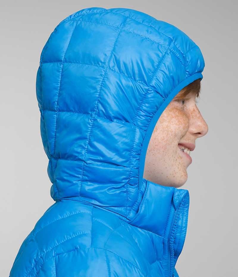 Chaqueta Plumas The North Face ThermoBall™ Encapuchado Niño Azules | CHILE-OCMWH