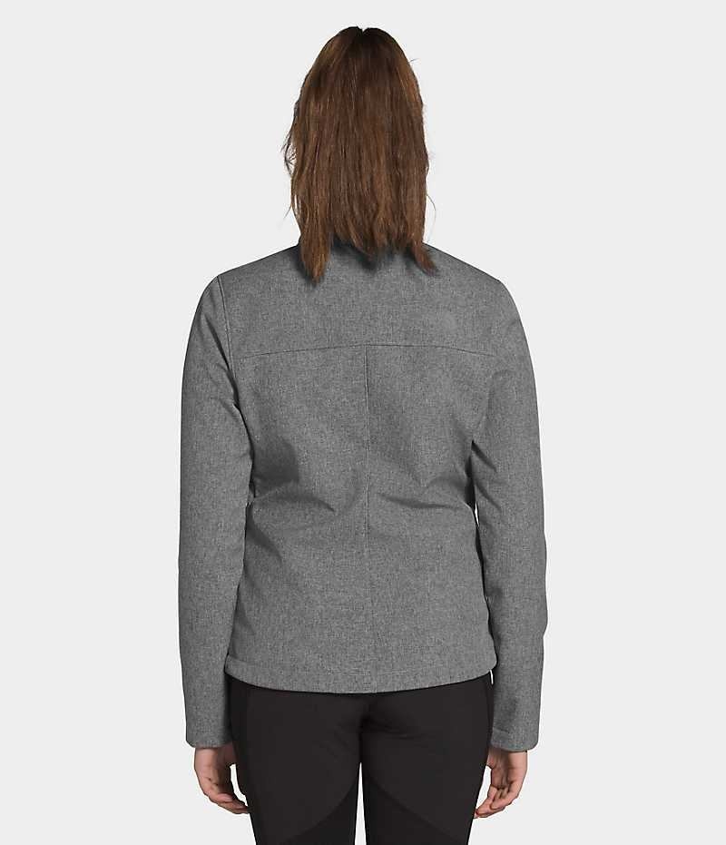 Chaqueta Softshell The North Face Apex Bionic Mujer Gris | CL-RDJHL