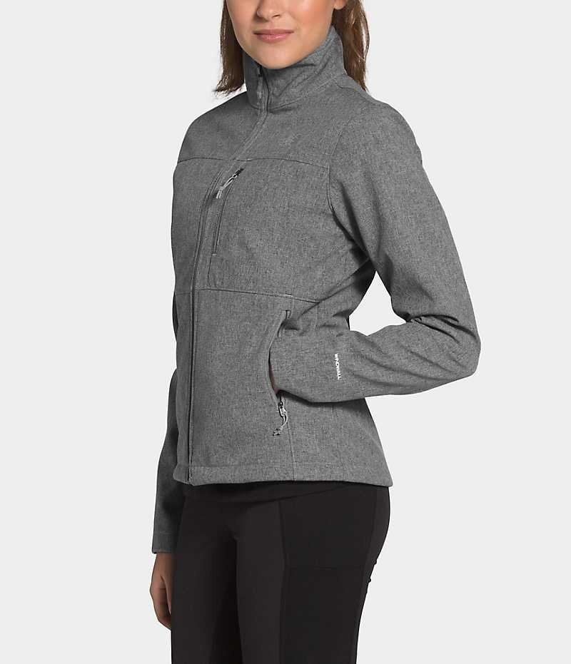 Chaqueta Softshell The North Face Apex Bionic Mujer Gris | CL-RDJHL