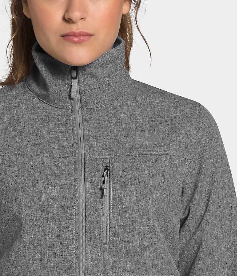 Chaqueta Softshell The North Face Apex Bionic Mujer Gris | CL-RDJHL