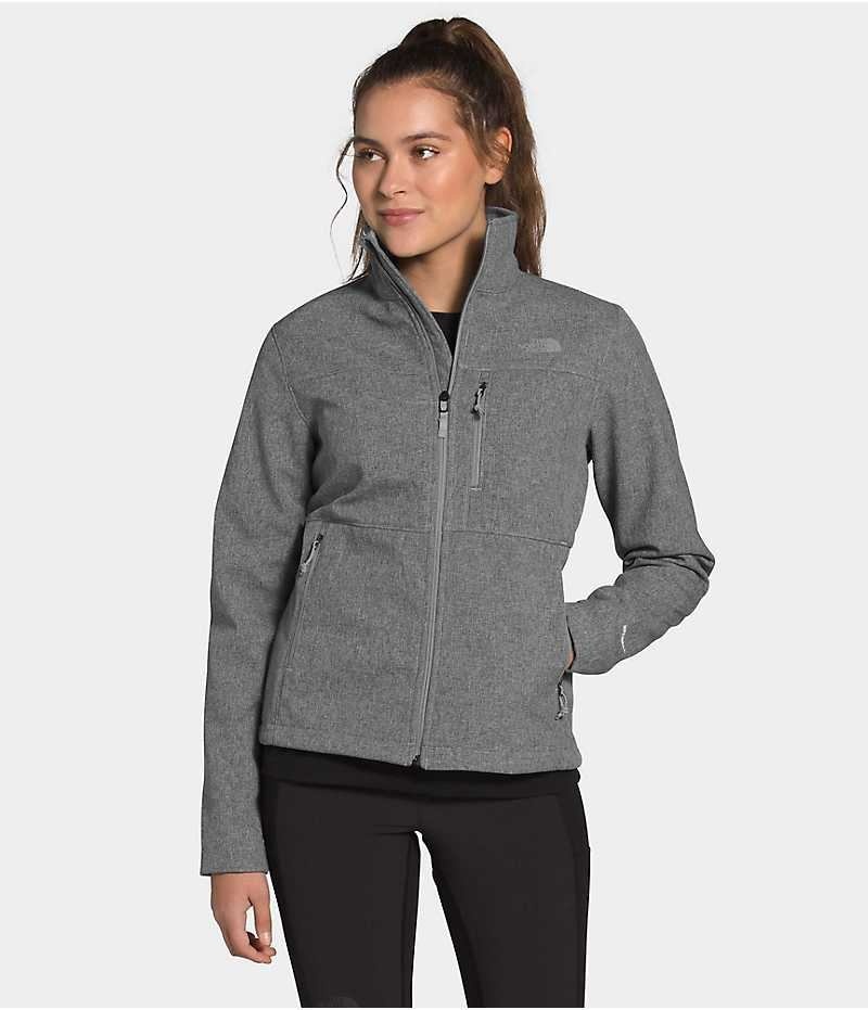 Chaqueta Softshell The North Face Apex Bionic Mujer Gris | CL-RDJHL