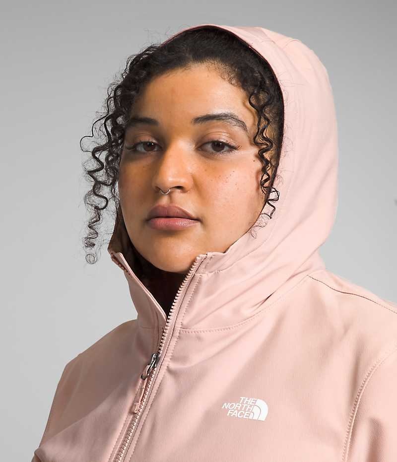 Chaqueta Softshell The North Face Plus Shelbe Raschel Hoodie Mujer Rosas | CL-CGKZV