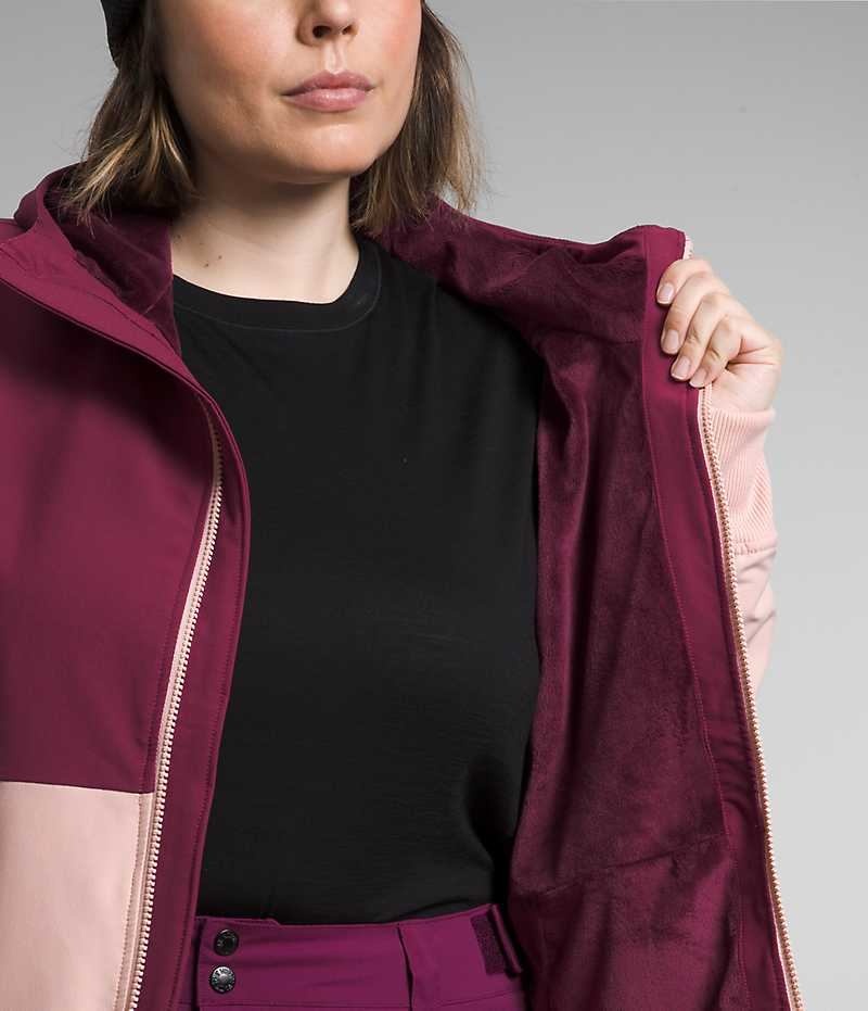 Chaqueta Softshell The North Face Plus Shelbe Raschel Hoodie Mujer Rosas | CL-UVHTI