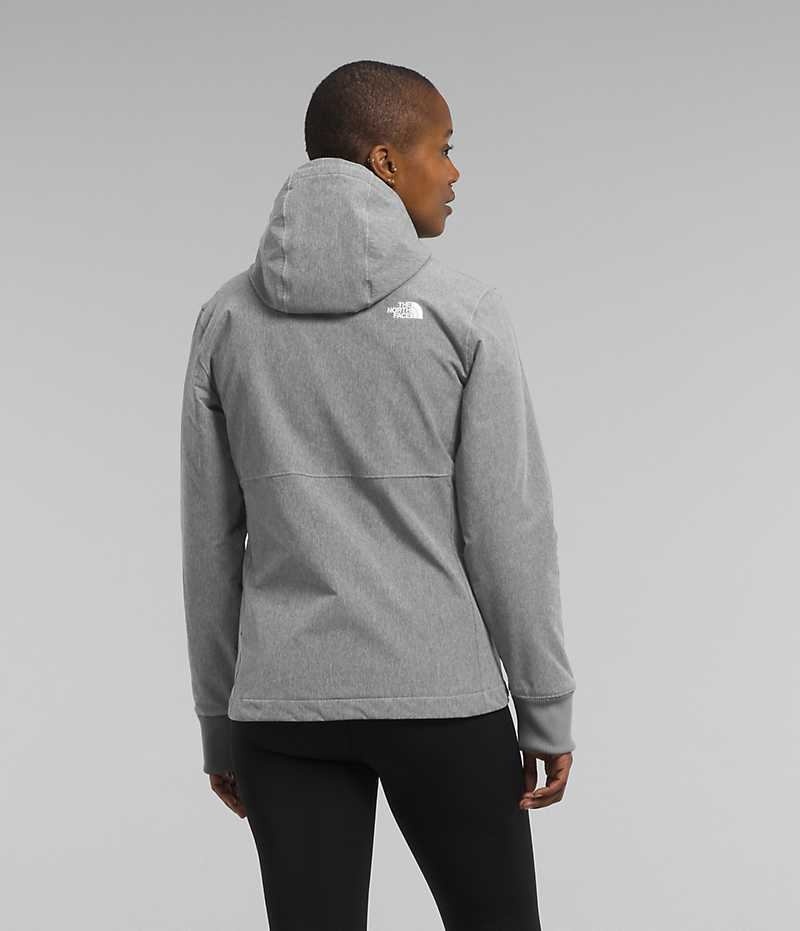 Chaqueta Softshell The North Face Shelbe Raschel Hoodie Mujer Gris | CHILE-YBJNE