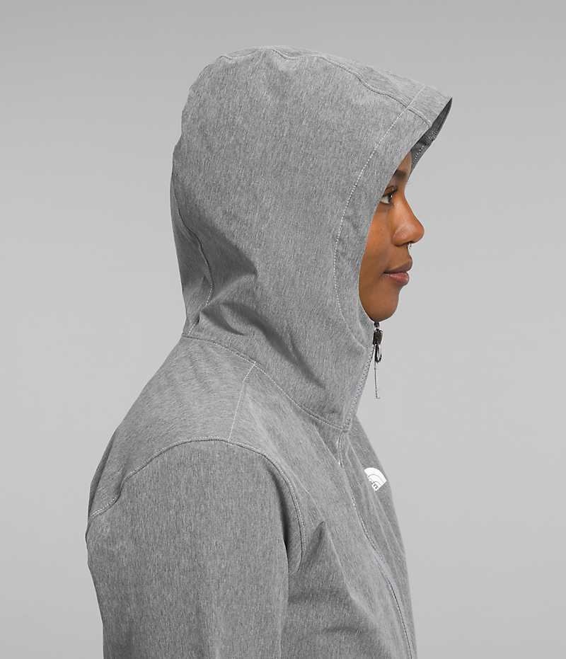 Chaqueta Softshell The North Face Shelbe Raschel Hoodie Mujer Gris | CHILE-YBJNE