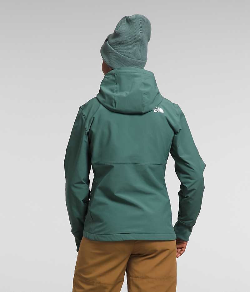 Chaqueta Softshell The North Face Shelbe Raschel Hoodie Mujer Verde | CHILE-ZTBCN