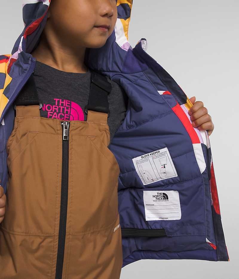 Chaquetas Aislantes The North Face Freedom Niño Multicolor | CL-WFVGN