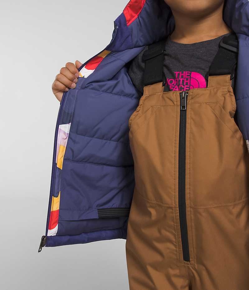 Chaquetas Aislantes The North Face Freedom Niño Multicolor | CL-WFVGN