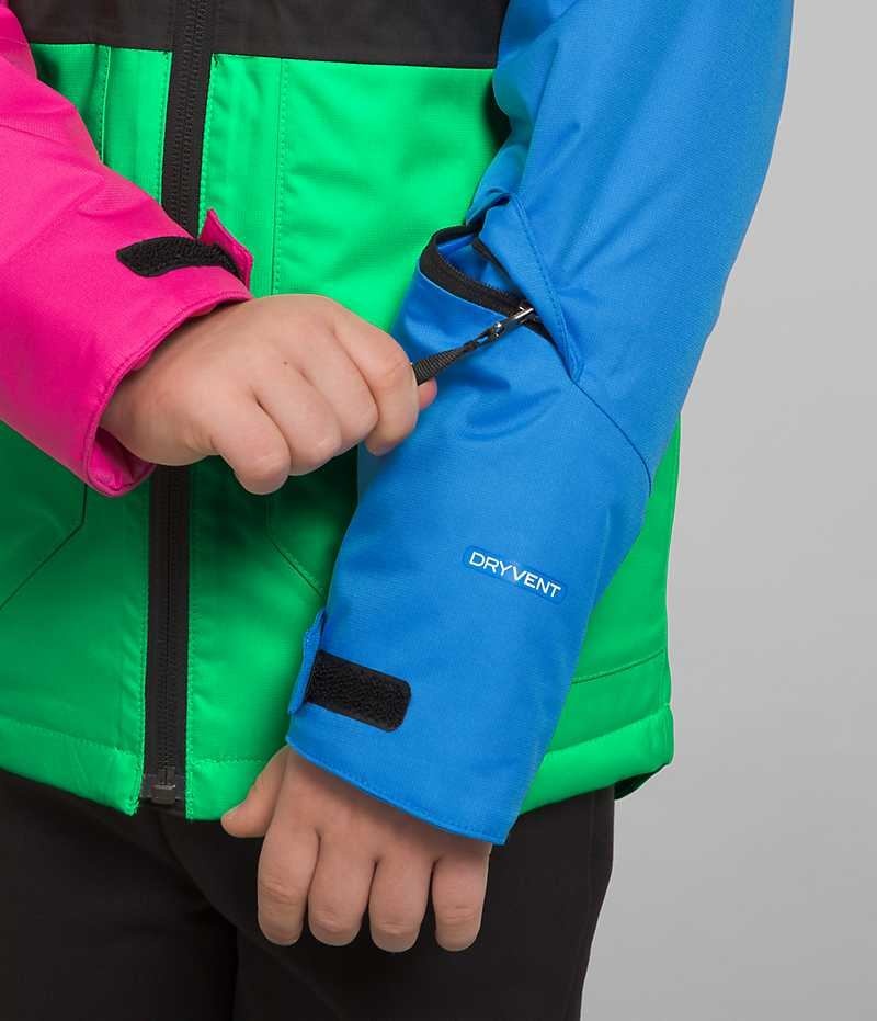 Chaquetas Aislantes The North Face Freedom Niño Multicolor | CL-BCEPJ