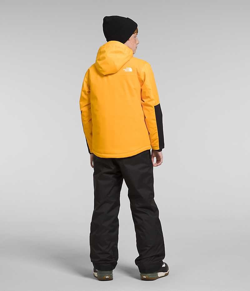 Chaquetas Aislantes The North Face Freedom Extreme Niño Doradas | CL-JNXMC